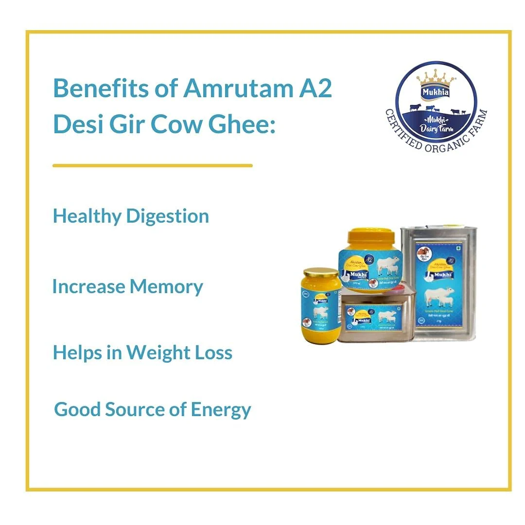 Pure Mukhia A2 Desi Cow Ghee By Amrutam | High In Protein Fiber Healthy & Nutrients Pure Desi Ghee Good For Boost Energy | 1 Litre (500ml * 2) 33.8 Ounce | Jar Pack - Image 3